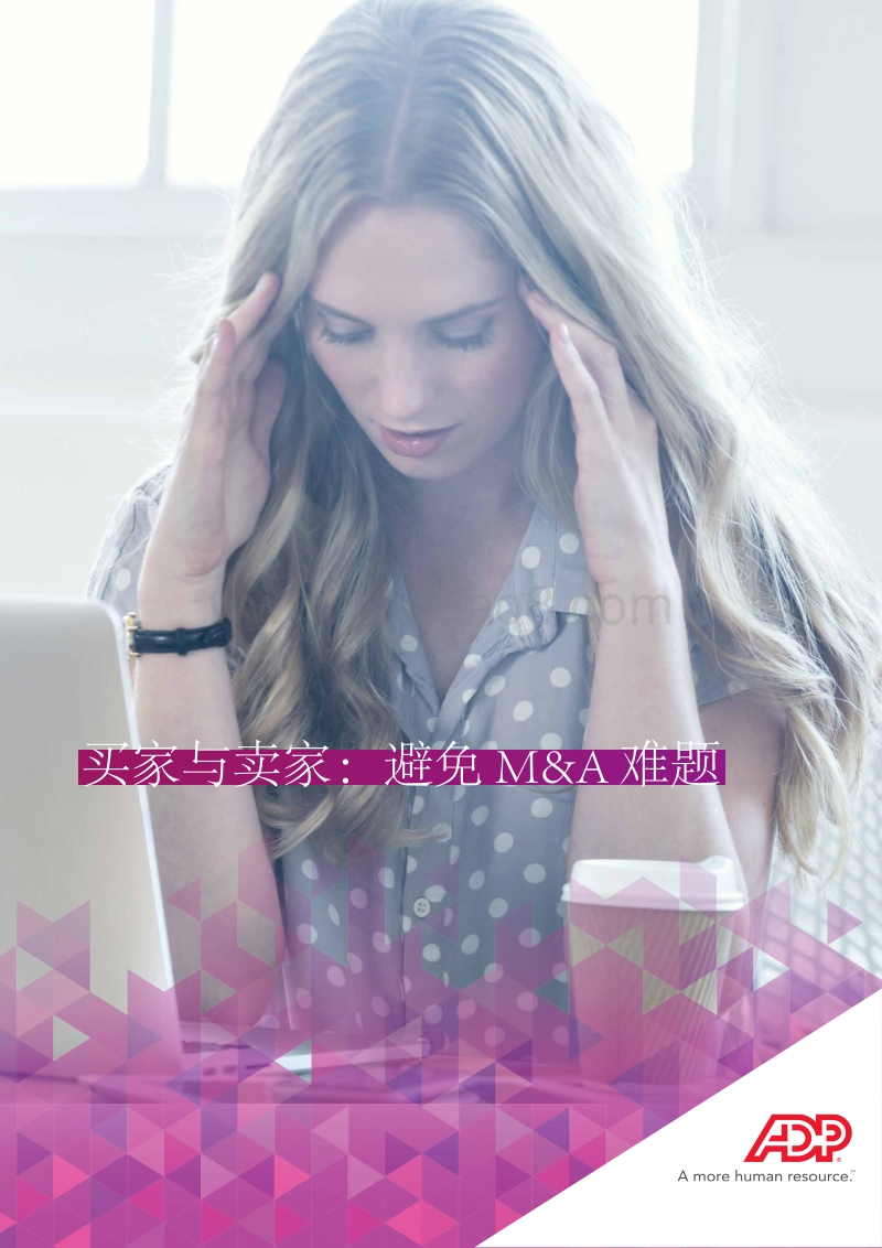 买家与卖家：避免M&A难题.pdf_第1页