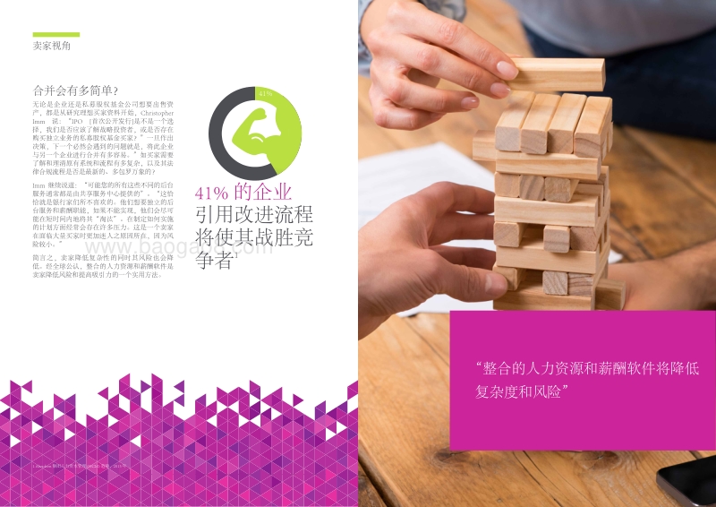 买家与卖家：避免M&A难题.pdf_第3页