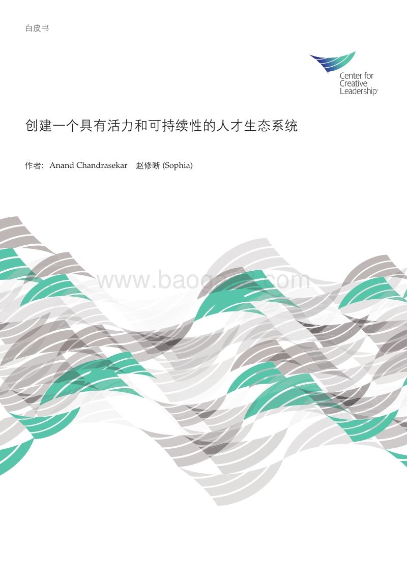 创建一个具有活力和可持续性的人才生态系统.pdf_第1页