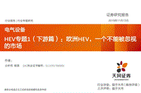 HEV专题1（下游篇）：欧洲HEV，一个不能被忽视的市场.pdf