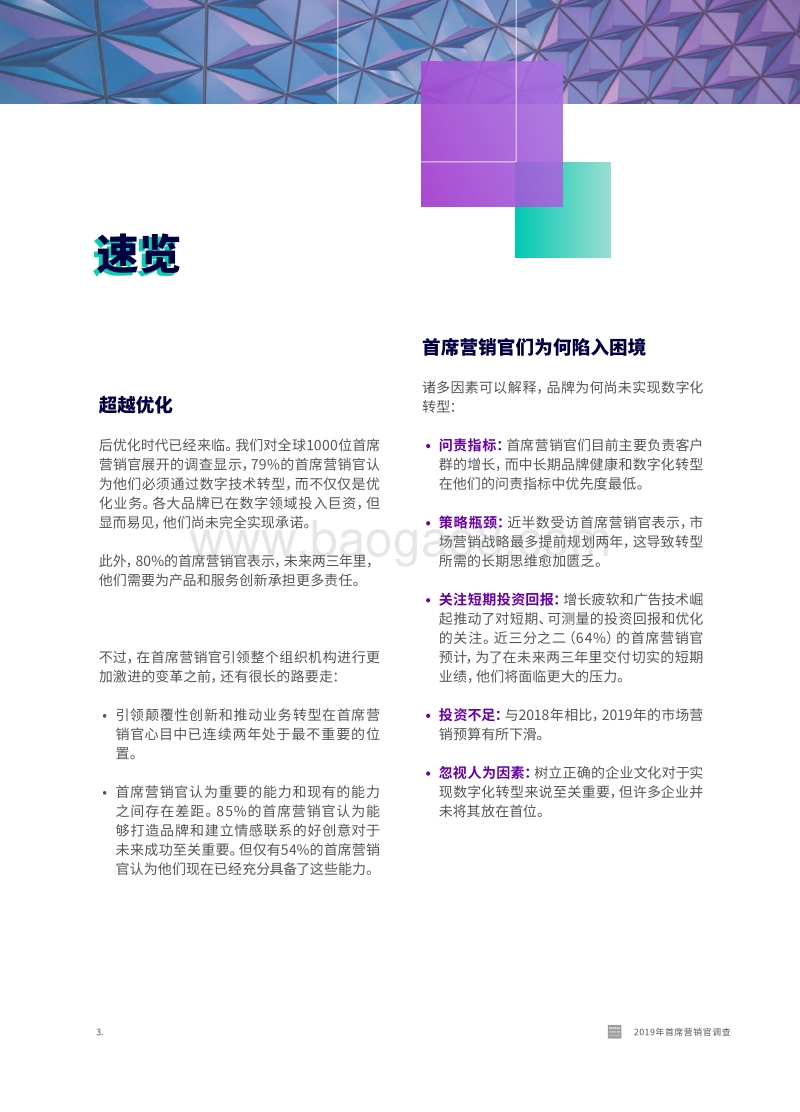 2019年首席营销官调查.pdf_第3页