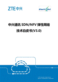 SDNNFV弹性网络技术白皮书.pdf