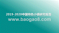 2019-2020中国特色小镇研究报告.pptx