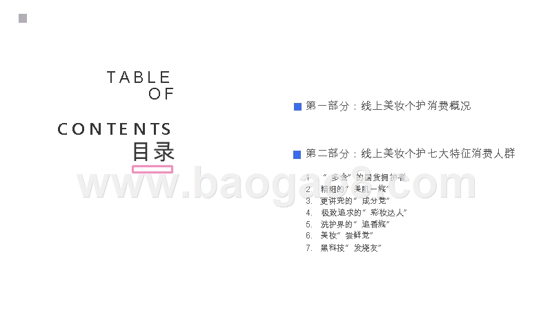 2019-2020线上美妆个护人群研究报告.pptx_第2页