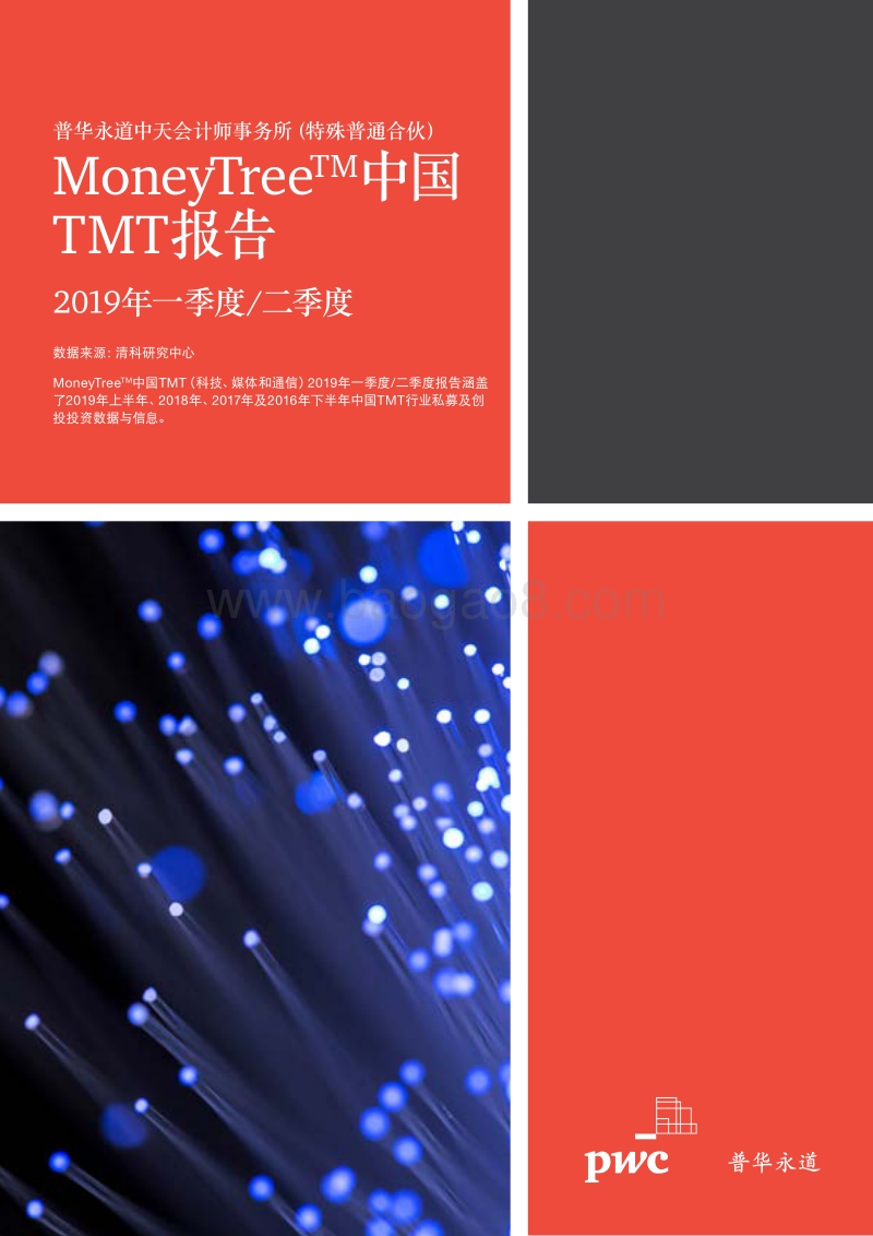 2019年一季度二季度中国TMT报告.pdf_第1页