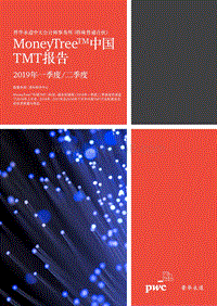 2019年一季度二季度中国TMT报告.pdf