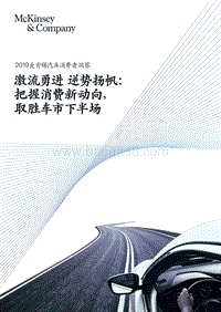 2019麦肯锡汽车消费者洞察.pdf