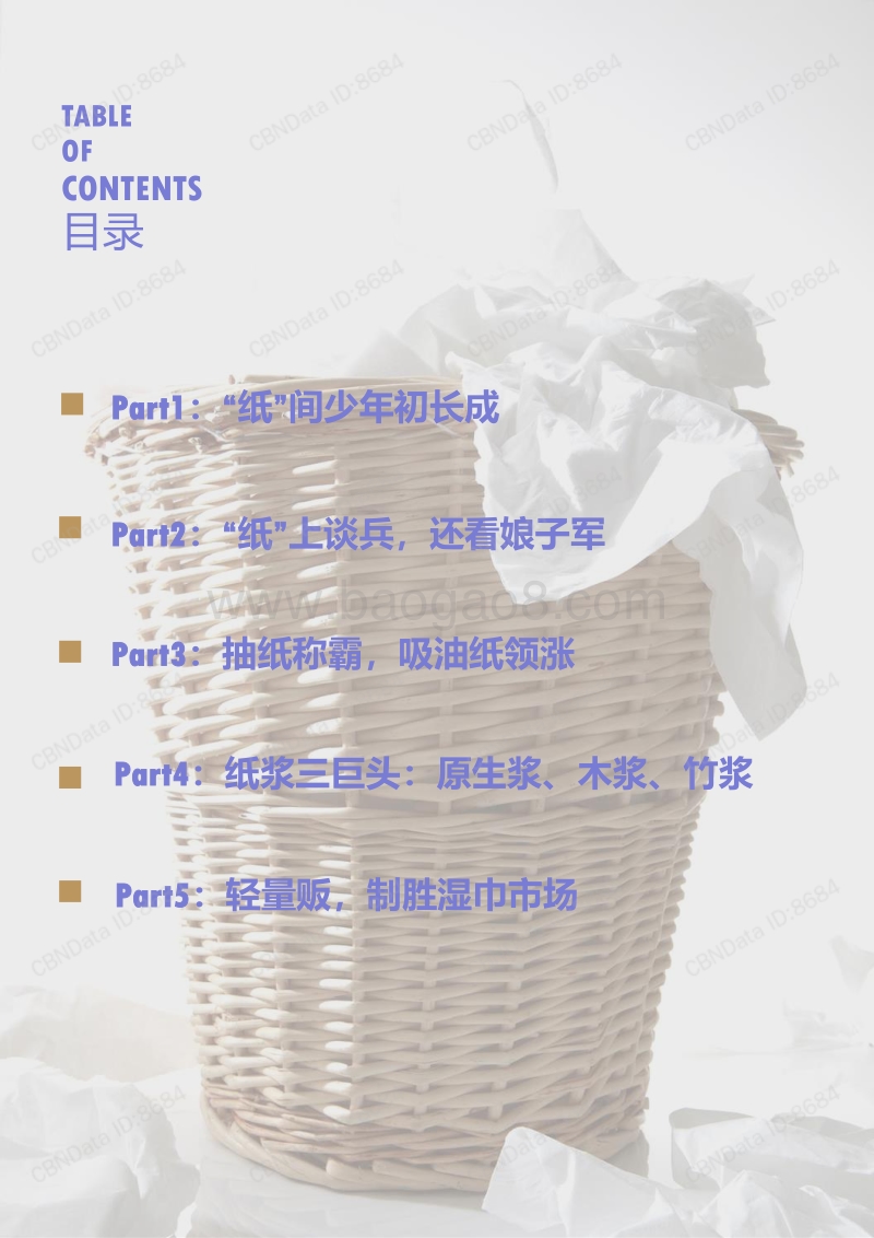 95后线上纸品用品消费研究.pdf_第2页