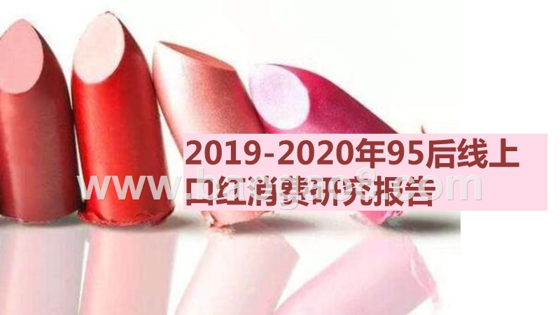 2019-2020年95后线上口红消费研究报告.pptx_第1页