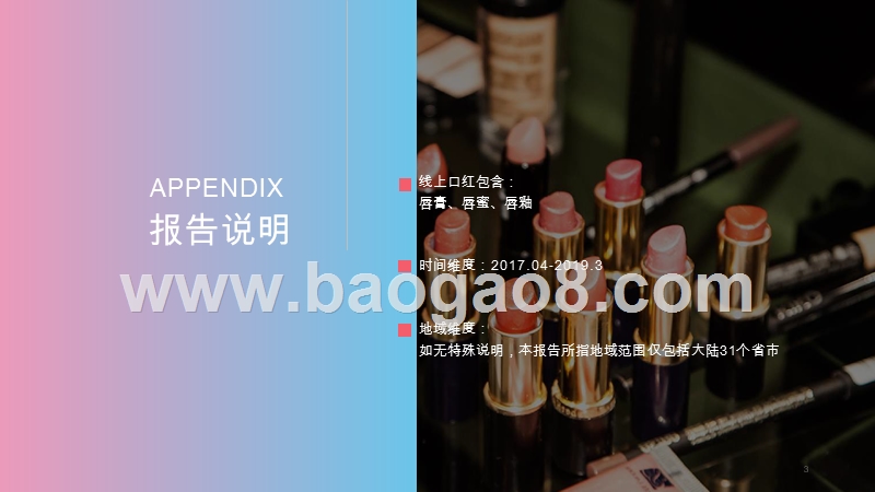 2019-2020年95后线上口红消费研究报告.pptx_第3页