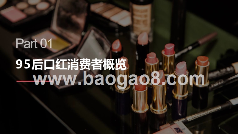 2019-2020年95后线上口红消费研究报告.pptx_第4页