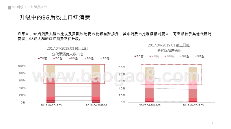 2019-2020年95后线上口红消费研究报告.pptx_第5页