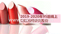 2019-2020年95后线上口红消费研究报告.pptx