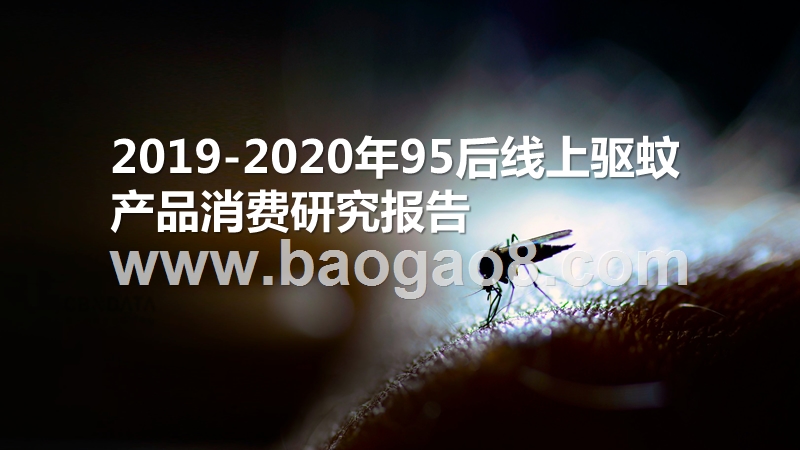 2019-2020年95后线上驱蚊产品消费研究报告.pptx_第1页