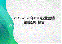 2019-2020年B2B行业营销策略分析报告.pptx
