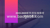 2019-2020新快消短规频营销研究报告.pptx