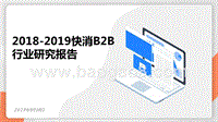 2018-2019快消B2B行业研究报告.pptx