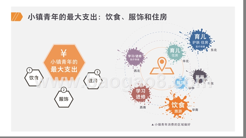 2019-2020小镇青年报告研究报告.pptx_第2页