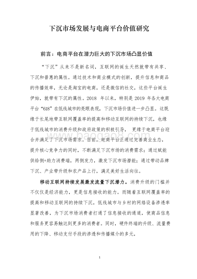 2019-2020下沉市场发展与电商平台价值研究报告.docx_第3页