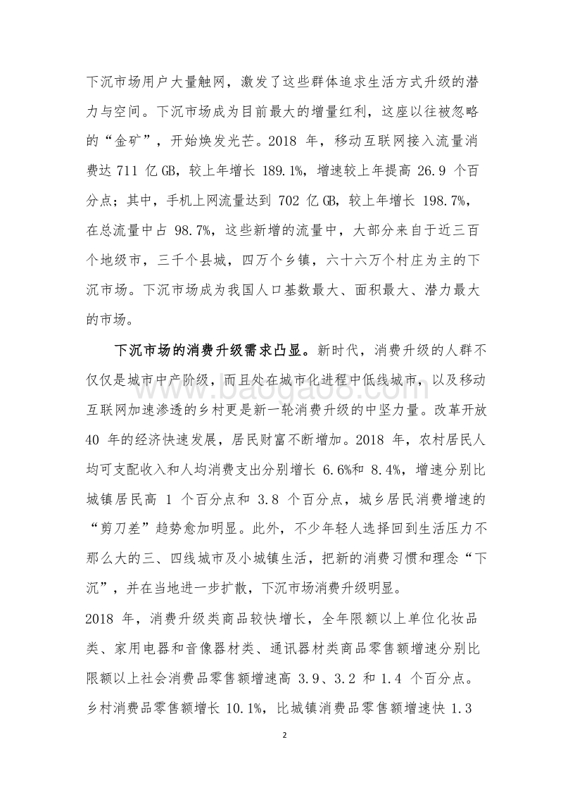 2019-2020下沉市场发展与电商平台价值研究报告.docx_第4页