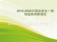 2019-2020中国品效合一营销趋势洞察报告.pptx