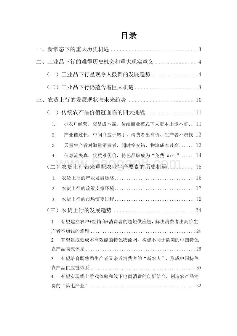2019-2020农村电商发展趋势研究报告.docx_第2页