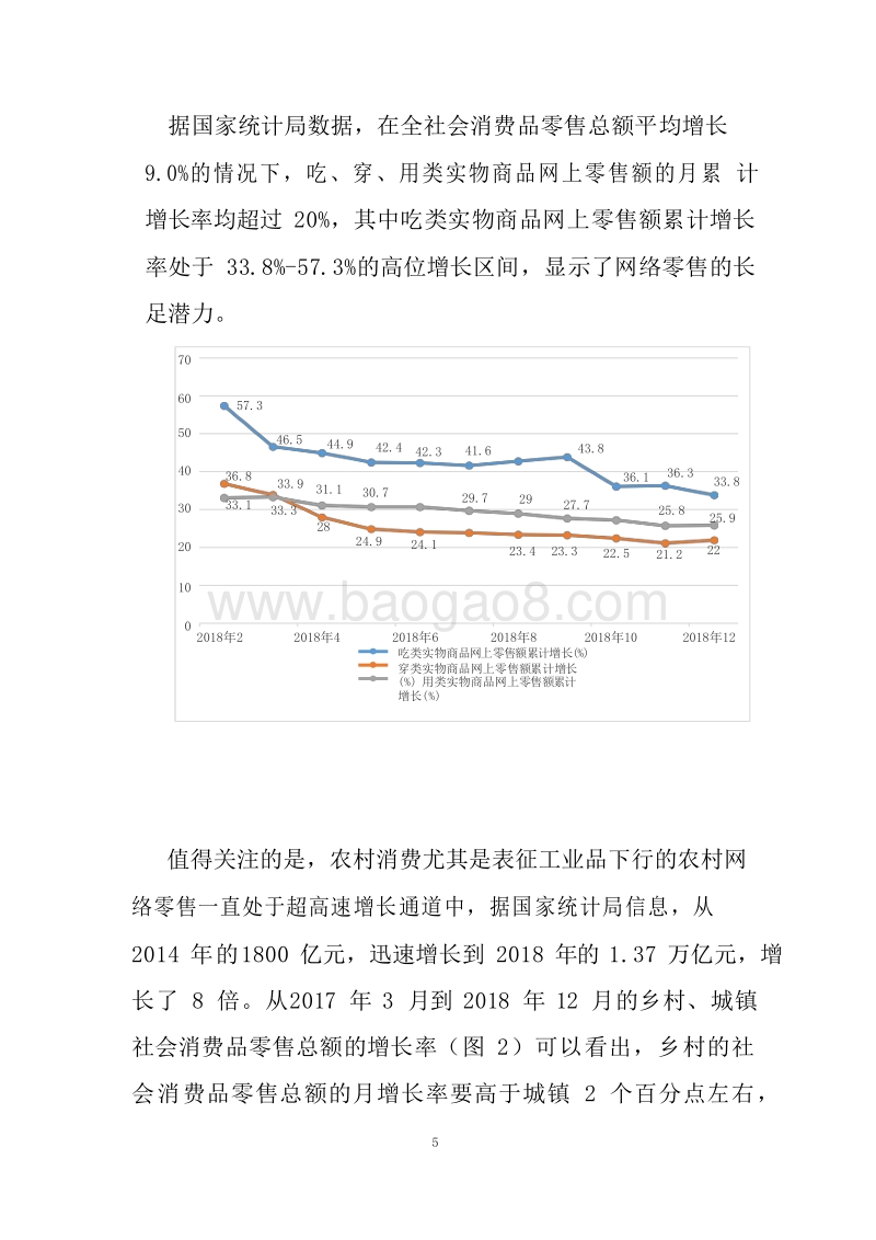 2019-2020农村电商发展趋势研究报告.docx_第5页