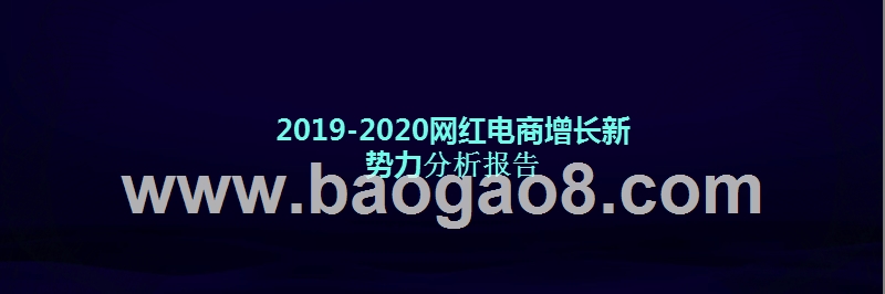 2019-2020网红电商增长新势力分析报告.pptx_第1页