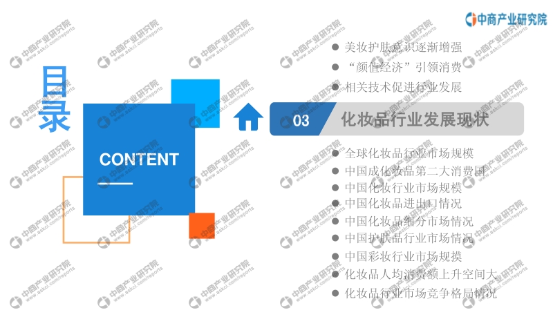 2020年化妆品行业投资前景研究报告.pdf_第4页
