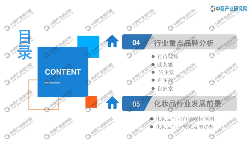 2020年化妆品行业投资前景研究报告.pdf_第5页