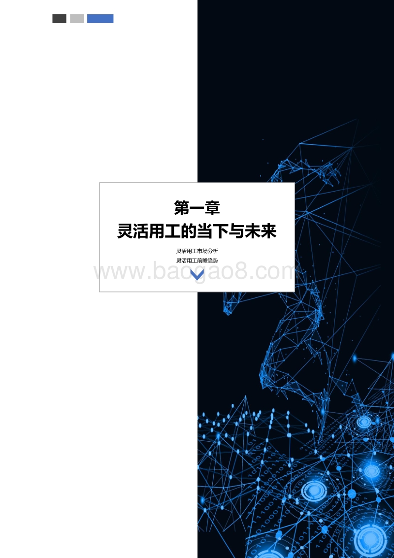 内部灵活用工：灵活用工第五极，中国劳动力的源头活水.pdf_第4页