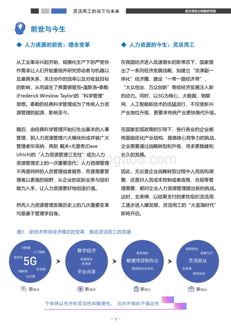 内部灵活用工：灵活用工第五极，中国劳动力的源头活水.pdf_第5页