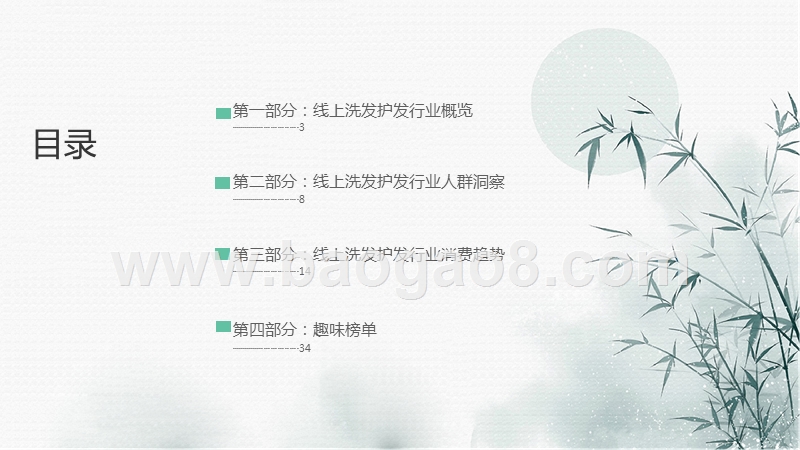 2019-2020线上洗护发行业消费研究报告.pptx_第2页