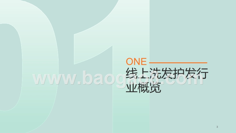 2019-2020线上洗护发行业消费研究报告.pptx_第3页