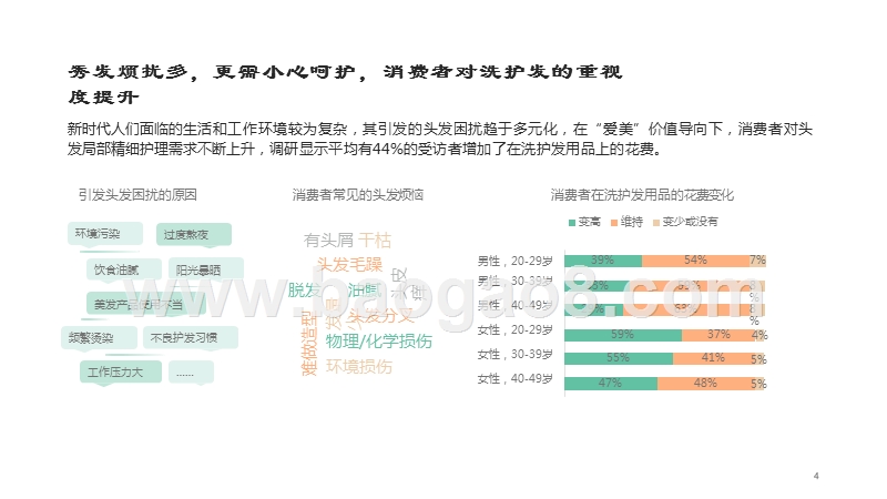2019-2020线上洗护发行业消费研究报告.pptx_第4页