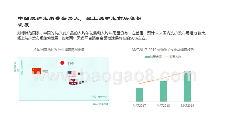 2019-2020线上洗护发行业消费研究报告.pptx_第5页