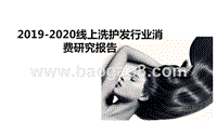 2019-2020线上洗护发行业消费研究报告.pptx