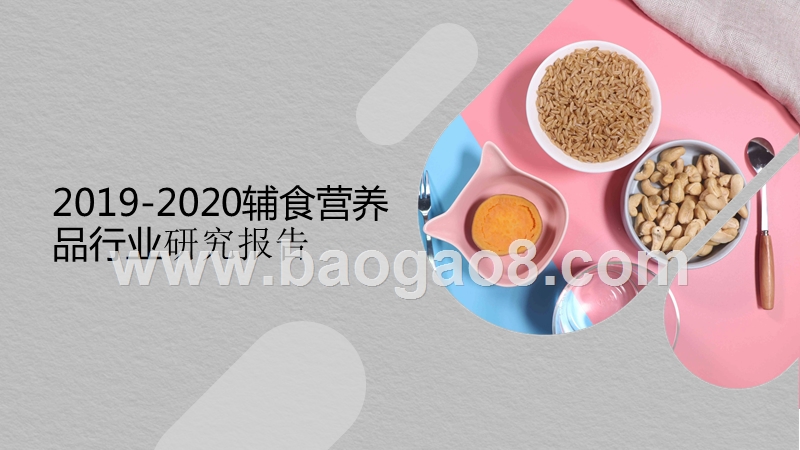 2019-2020辅食营养品行业研究报告.pptx_第1页