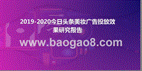 2019-2020今日头条美妆广告投放效果研究报告.pptx