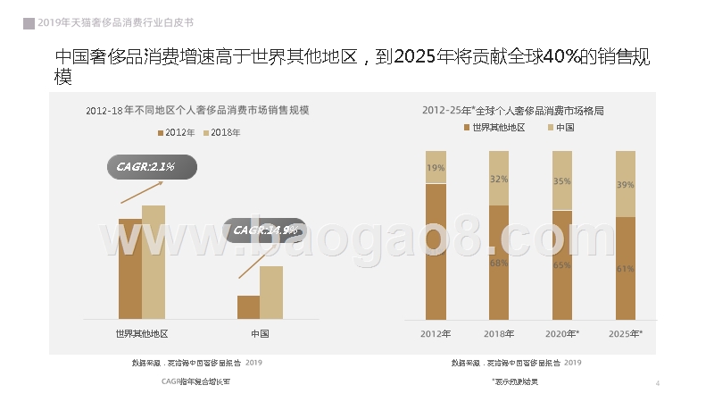 2019年天猫奢侈品行业消费研究报告.pptx_第4页