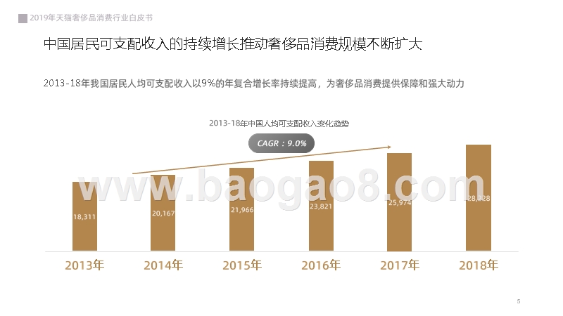 2019年天猫奢侈品行业消费研究报告.pptx_第5页