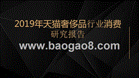 2019年天猫奢侈品行业消费研究报告.pptx