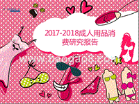 2017-2018成人用品消费研究报告.pptx