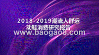 2018-2019潮流人群运动鞋消费研究报告.pptx