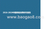 2018-2019中国跨境消费研究报告.pptx
