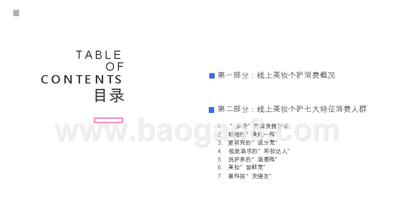 2019-2020线上美妆个护人群研究报告.pptx_第2页