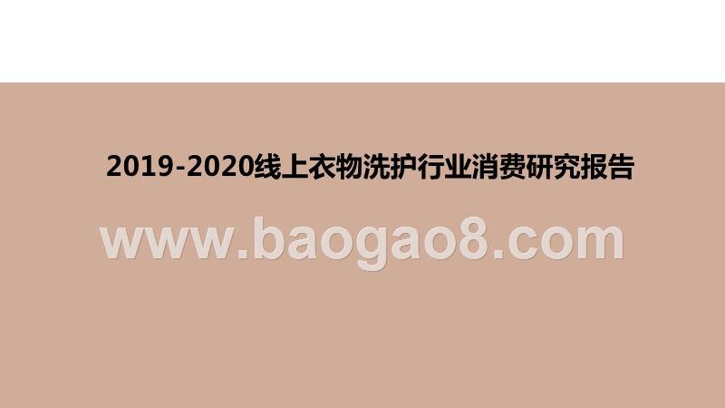 2019-2020线上衣物洗护行业消费研究报告.pptx_第1页