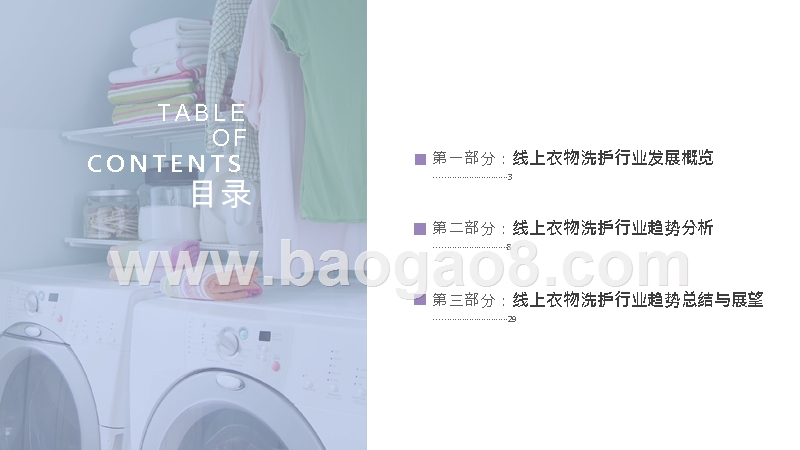 2019-2020线上衣物洗护行业消费研究报告.pptx_第2页