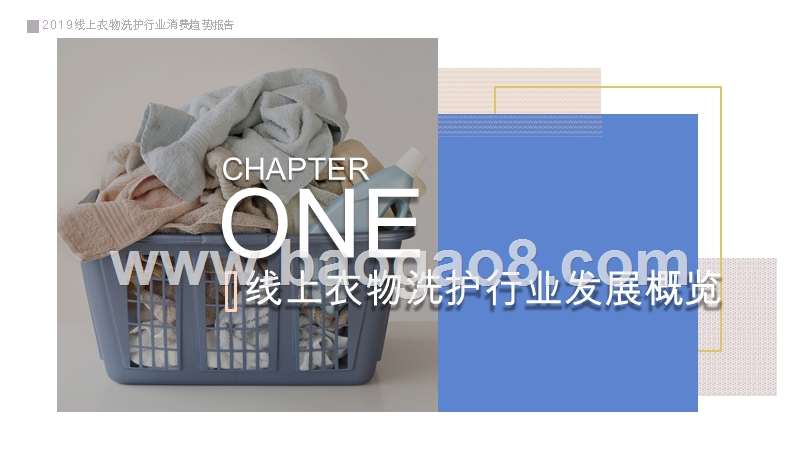 2019-2020线上衣物洗护行业消费研究报告.pptx_第3页