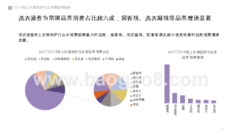 2019-2020线上衣物洗护行业消费研究报告.pptx_第5页